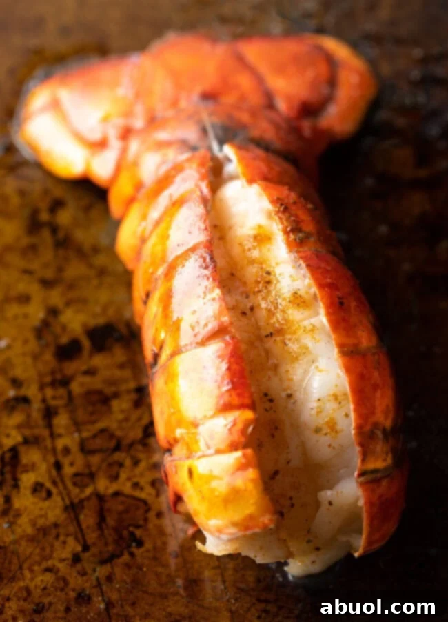 Close view plump cooked lobster tail in the shell on a baking sheet.