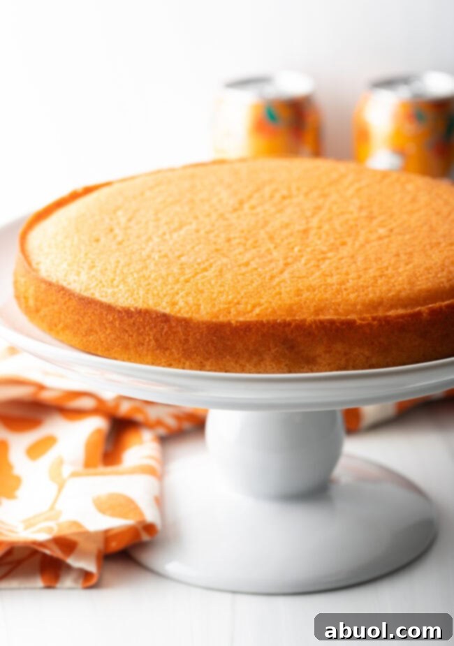 Single round layer of cake on a white cake pedestal.
