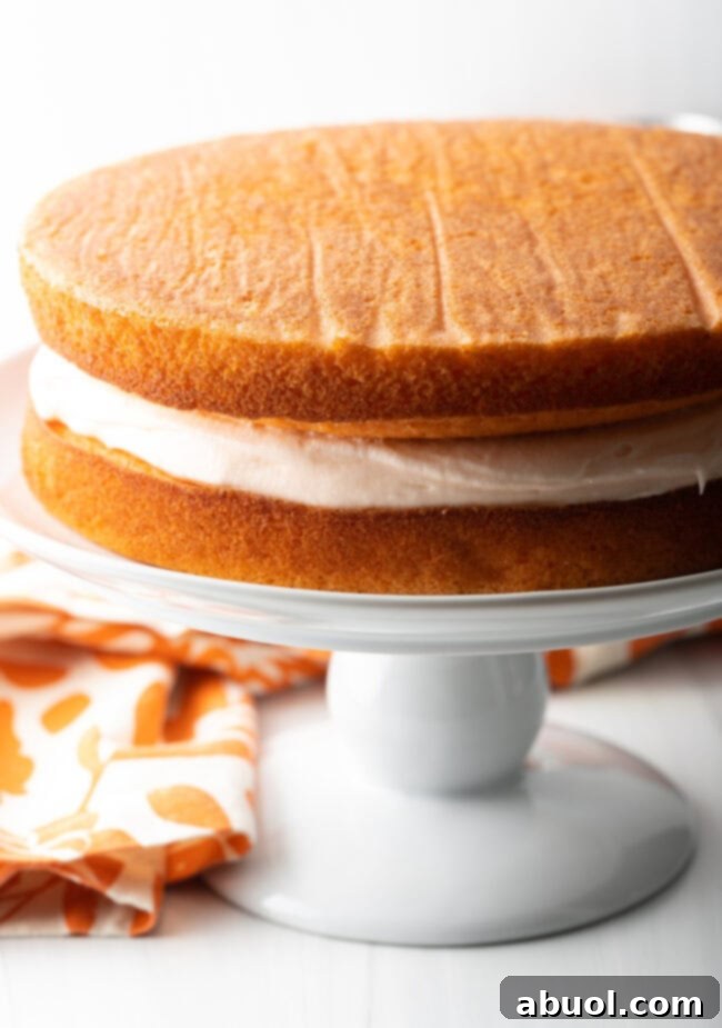 Two layers of orange cake, sandwiching frosting.