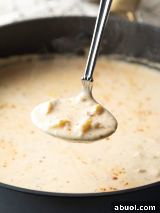 Best lobster ravioli sauce in a stock pot with a ladle scooping up some sauce. 