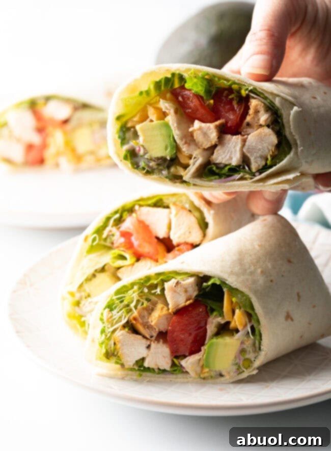 Hand holding chicken wrap to camera.