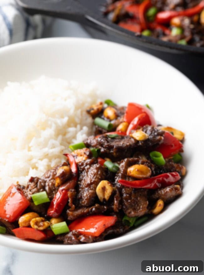 A vibrant bowl of Kung Pao Beef stir-fry with white rice, showcasing the colorful ingredients.