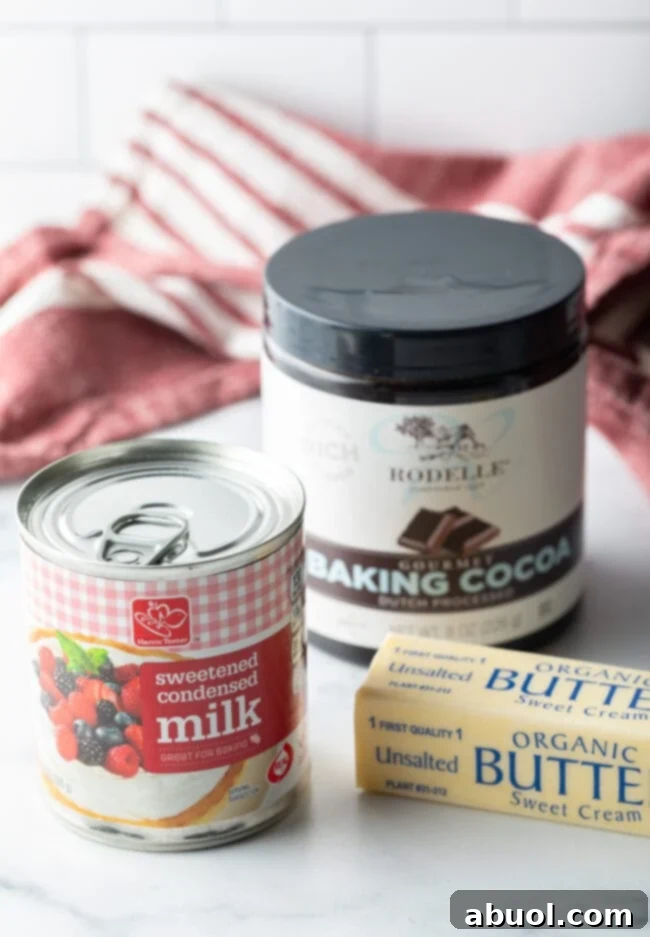 Recipe ingredients for hot fudge sauce which include a jar of sweetened condensed milk, a stick of butter and cocoa powder.