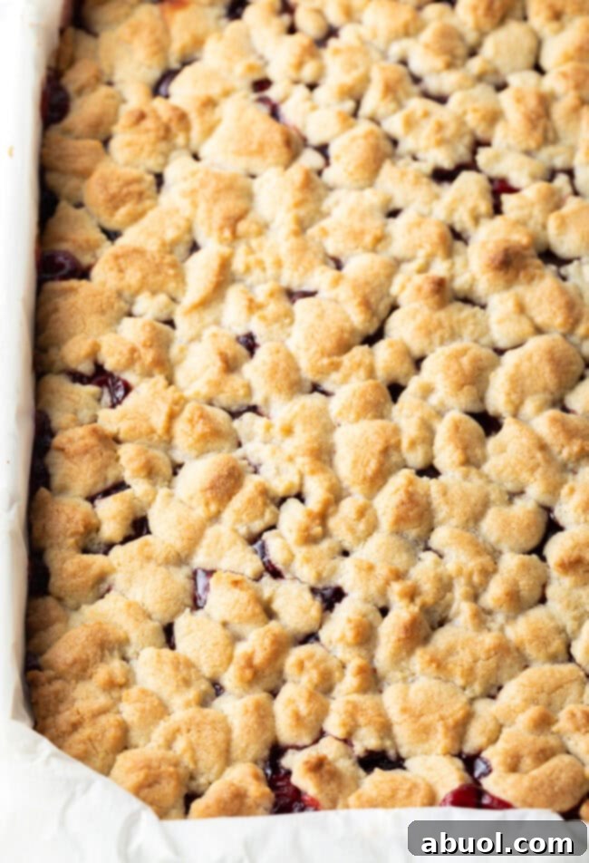 A beautifully baked pan of cherry pie bars, showing a golden-brown crumb topping over the bubbling red cherry filling, freshly out of the oven.