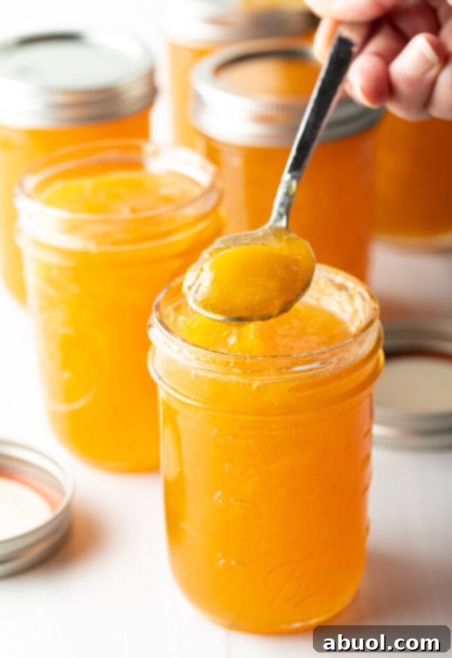 A beautifully filled jar of homemade peach jam, with a gleaming metal spoonful held to the camera, showcasing its rich golden color and tempting texture.