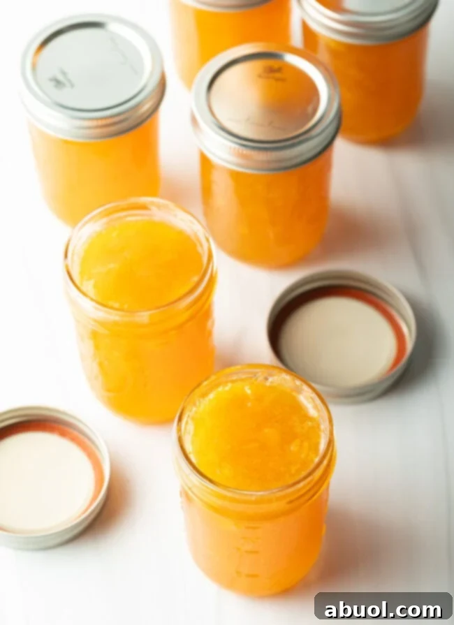 Multiple rustic jars of homemade peach preserves, artfully arranged on a wooden surface, their golden contents reflecting ambient light. Perfect for gifting or pantry storage.