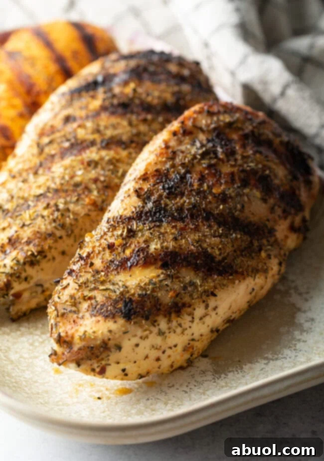 Top down view two whole chicken breasts seasoned and grilled, resting on a white plate, ready to be served.