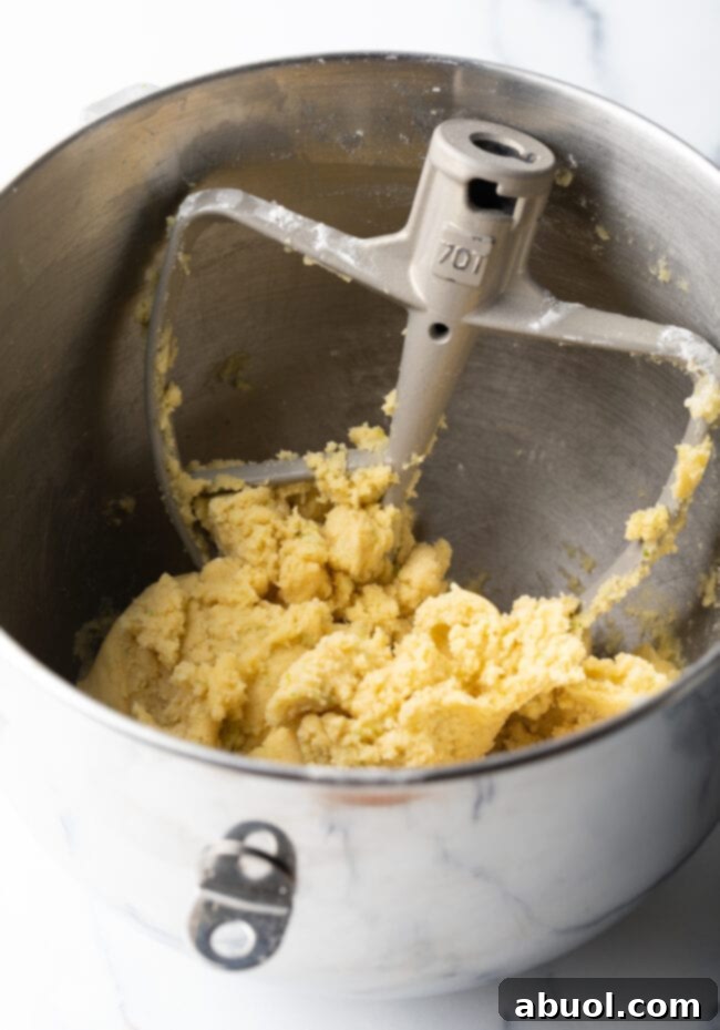 The mixing bowl of an electric stand mixer, filled with creamy cookie dough, with a metal paddle attachment resting within.