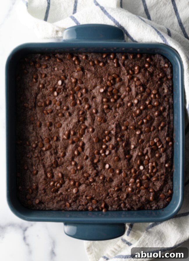 Power & Glow Collagen Brownies 10 Top-down view of a square pan filled with baked brownies, rich in chocolate chips.