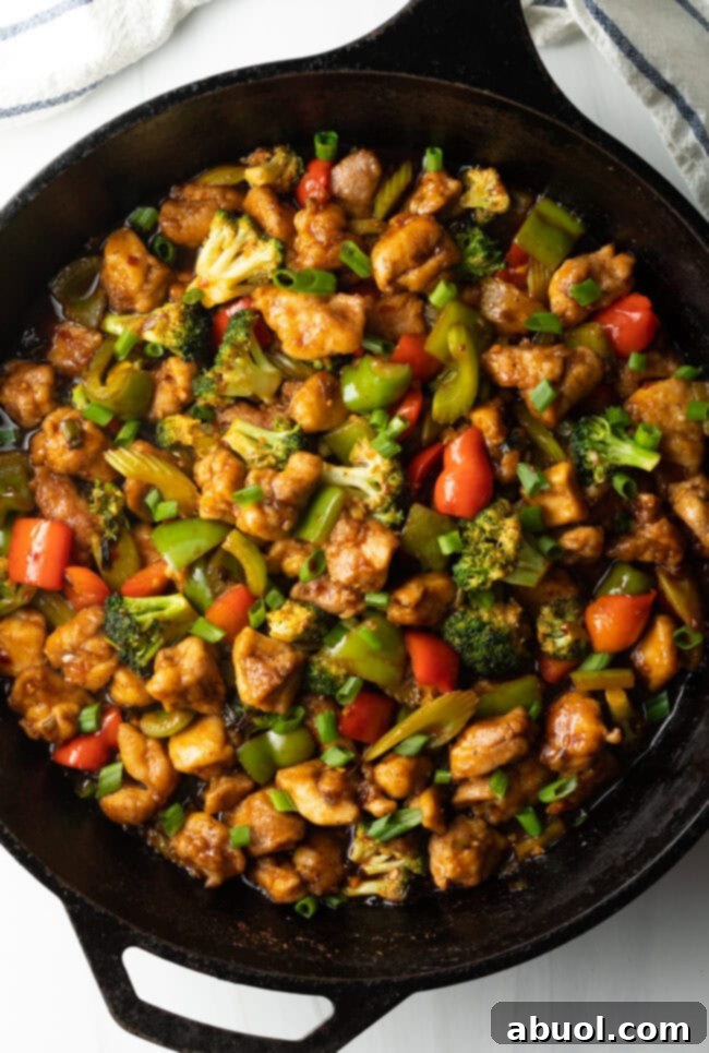 A close-up shot of the savory chicken and vegetable stir fry, showcasing its rich sauce and vibrant ingredients in a cast iron skillet.