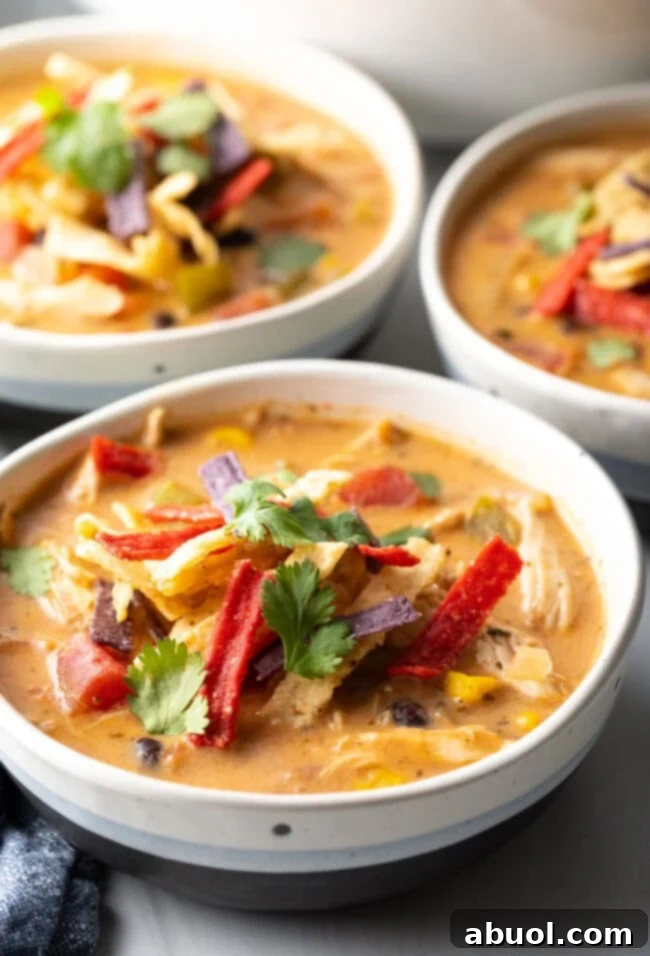 Three white and gray bowls filled with creamy chicken taco soup, garnished with fresh cilantro and red tortilla strips.