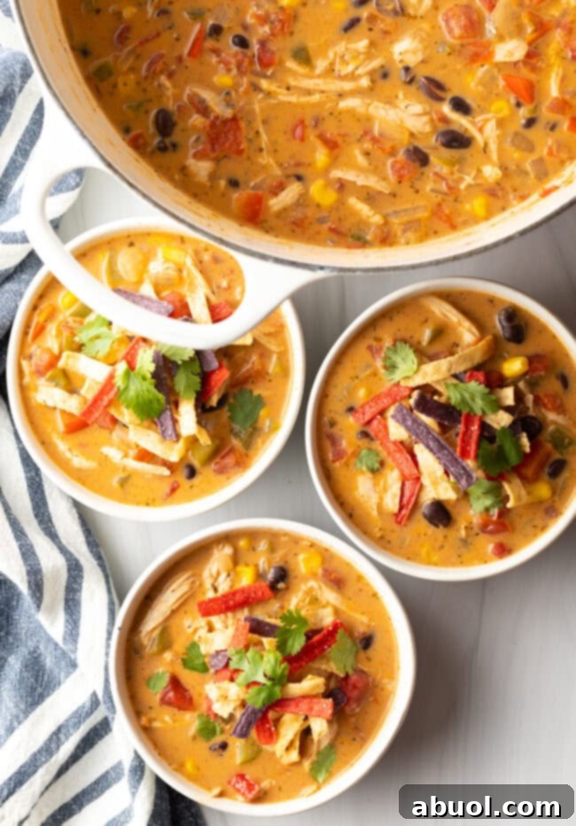 Close-up shot of a bowl of chicken taco soup with cilantro and tortilla strips, showcasing its rich texture.