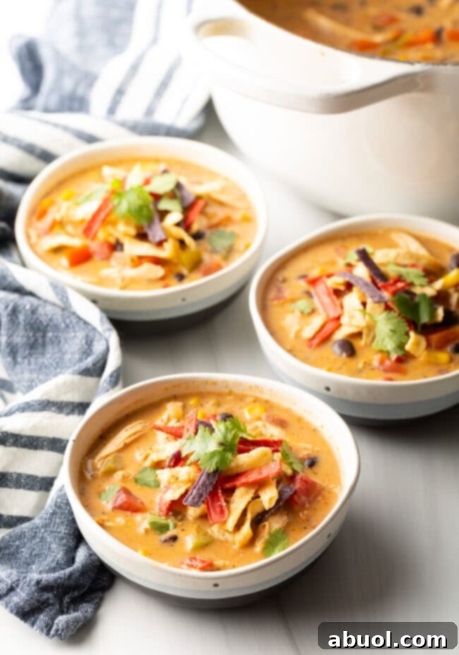 Three white and gray bowls filled with chicken taco soup, beautifully garnished with cilantro and red tortilla strips, ready to be enjoyed.