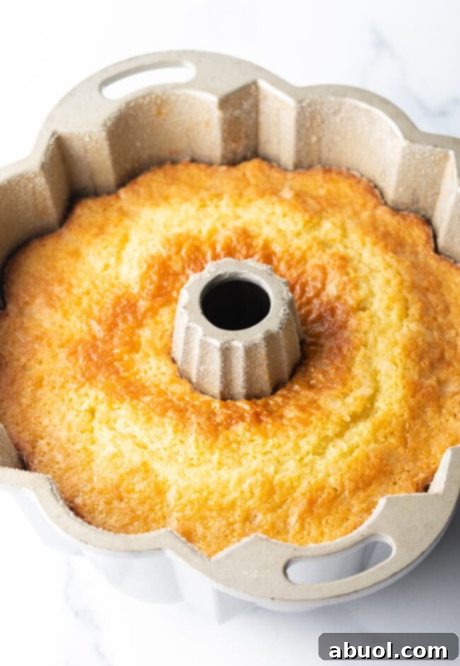 Golden Lemon Olive Oil Cake 8 A freshly baked lemon olive oil cake resting inside a Bundt pan, perfectly golden and ready to be inverted.
