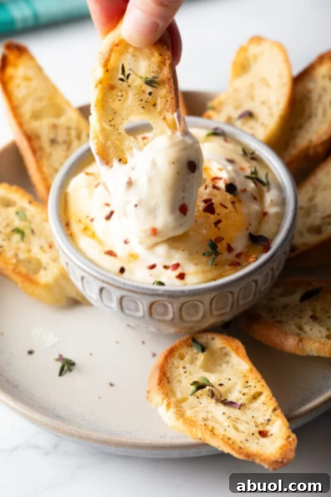 A hand reaches in to dip a toasted baguette slice into a beautiful bowl of whipped ricotta, surrounded by more baguette slices, illustrating the irresistible nature of the dip.