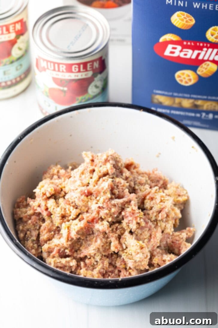 A pristine white bowl holds a smooth, well-mixed raw meatball mixture, perfectly prepared for shaping.