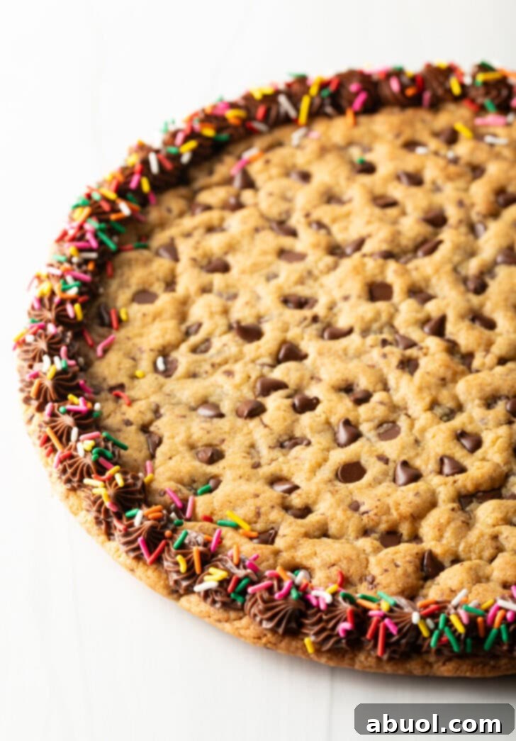 A stunning large chocolate chip cookie cake, beautifully decorated with a piped chocolate frosting border and a generous scattering of colorful rainbow sprinkles, making it ready for a celebration.
