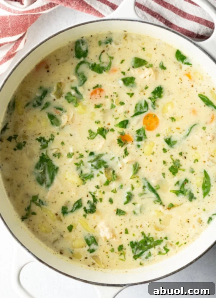 Chicken soup with gnocchi and veggies cooking in a large pot.