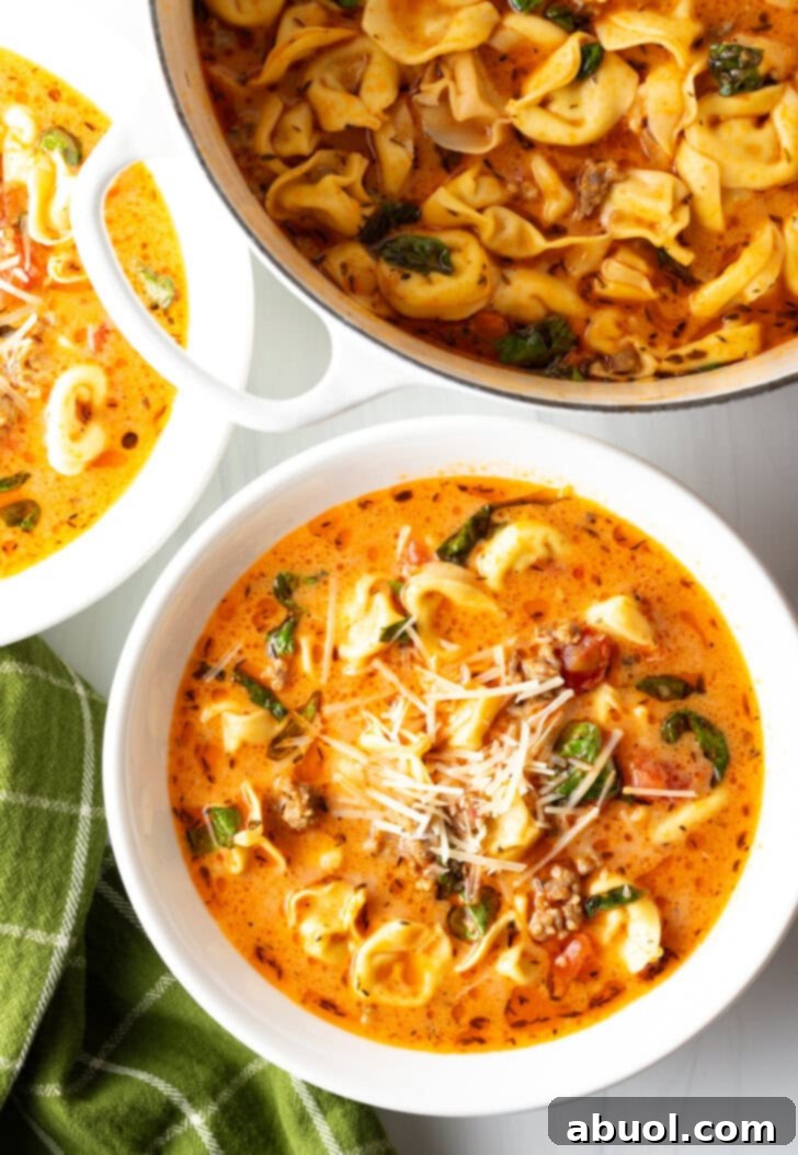 Another top-down perspective of a white bowl of creamy sausage and tortellini soup, with a large pot of soup on the side, highlighting the inviting texture.