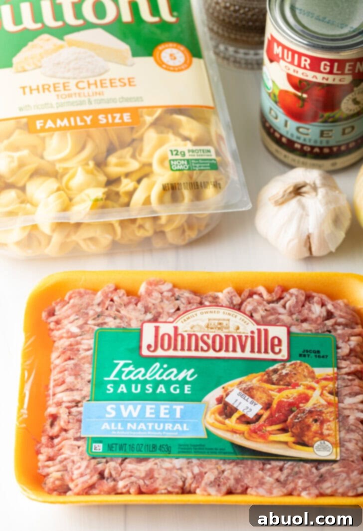 Key ingredients for Italian Sausage Tortellini Soup: A package of sweet Italian sausage, cheese tortellini, a can of diced tomatoes, and a whole head of garlic.