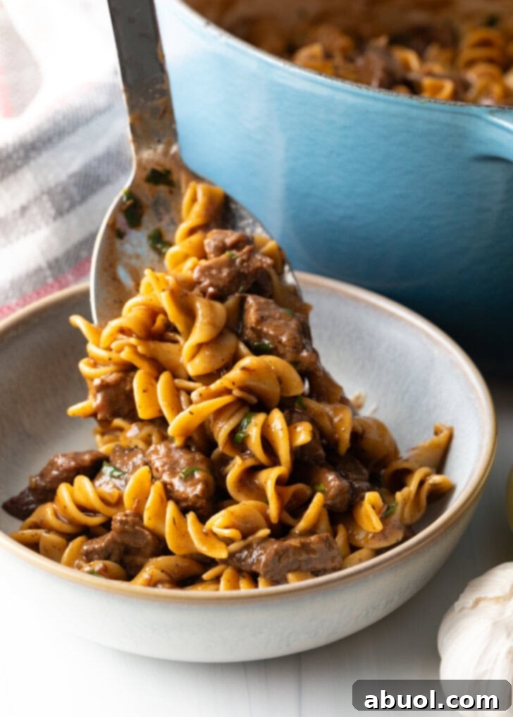 Metal spoon dishing out a serving of noodles with beef into a white bowl.