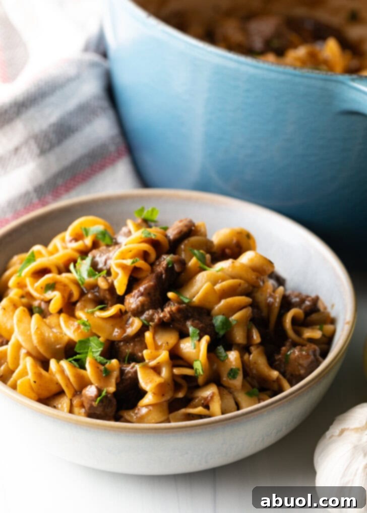 White bowl with serving of beef and noodles, topped with fresh chopped parsley.