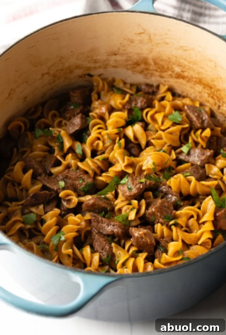 Top down view egg noodles and pieces of cooked beef in a large pot. Topped with sprinkling of fresh chopped parsley.