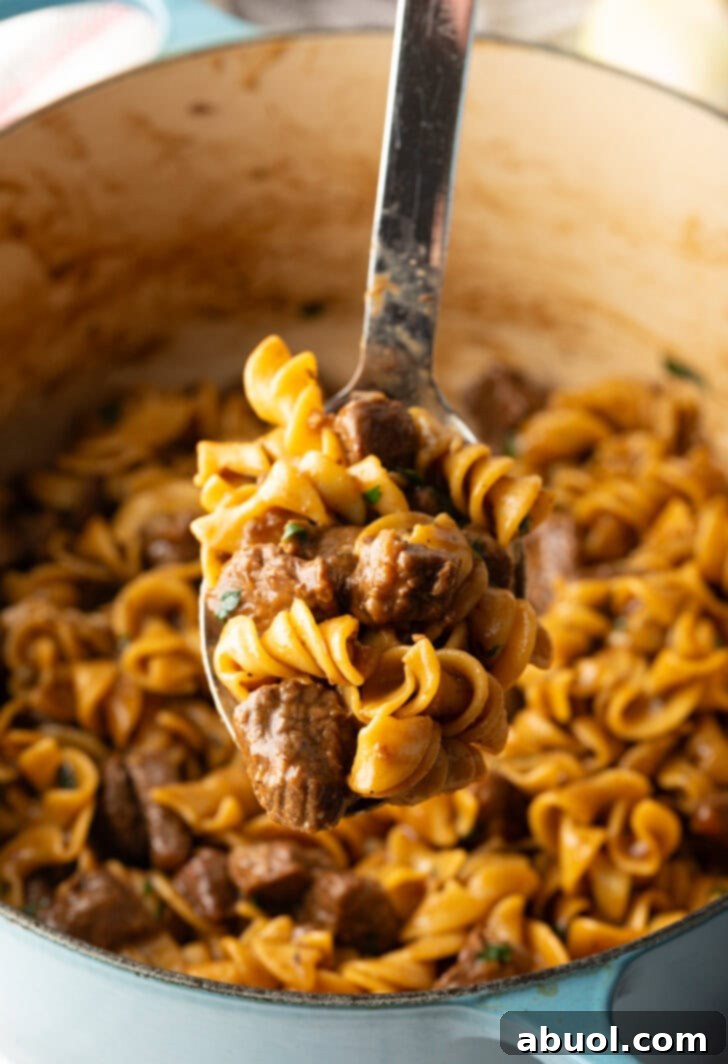 Metal spoon over the cooking pot, showing a spoonful of noodles and meat to camera.
