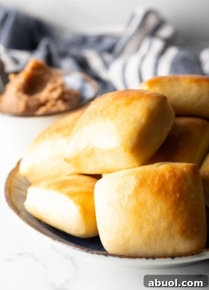 Plate of rectangle texas roadhouse rolls.
