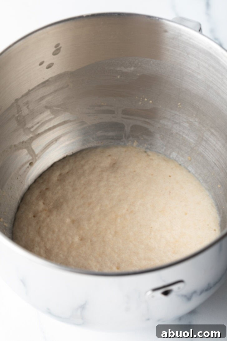 Bubbling yeast dough in a metal bowl.
