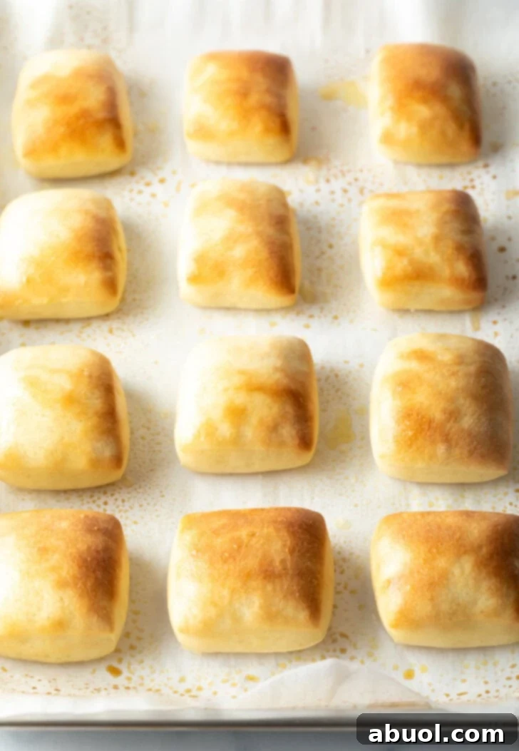 Top down a dozen rectangle yeast rolls on a baking sheet.