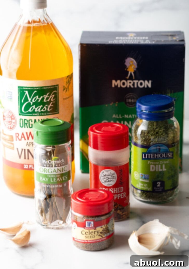 Recipe ingredients in containers: Large bottle of apple cider vinegar, garlic cloves, spices, and box of salt.