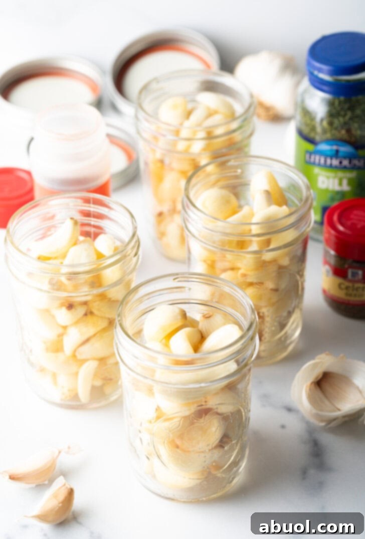 Four glass mason jars stuffed with fresh raw garlic cloves.