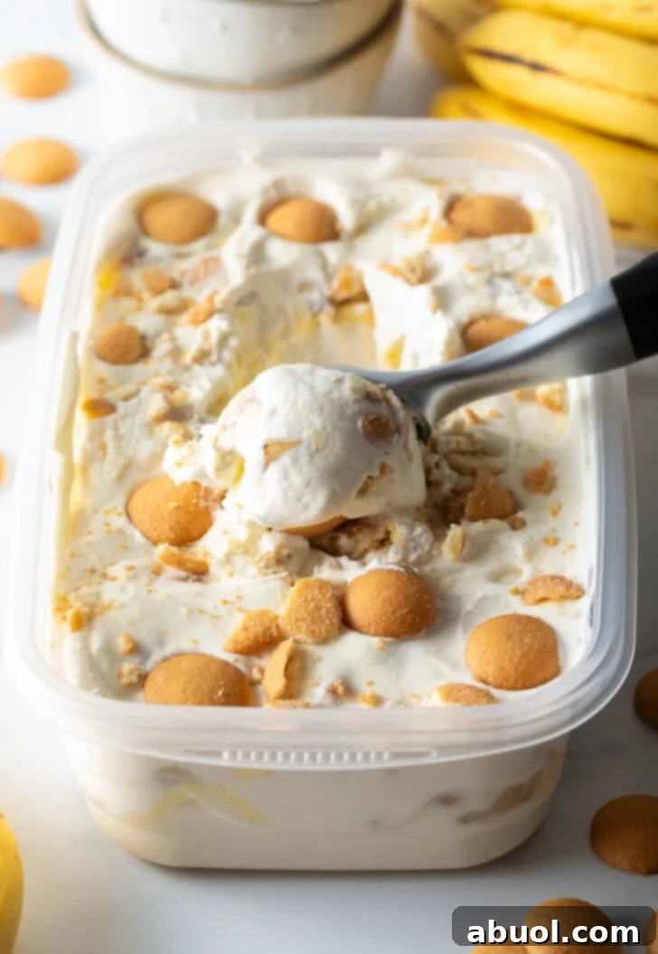 No-Churn Banana Pudding Dream 2 Container of no-churn banana pudding ice cream topped with nilla wafers, with a metal scooper scooping out a portion.