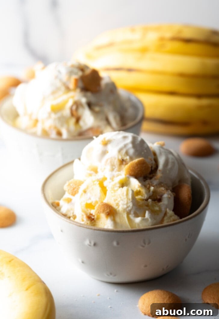 No-Churn Banana Pudding Dream 11 White bowl with banana pudding ice cream, topped with vanilla wafers.