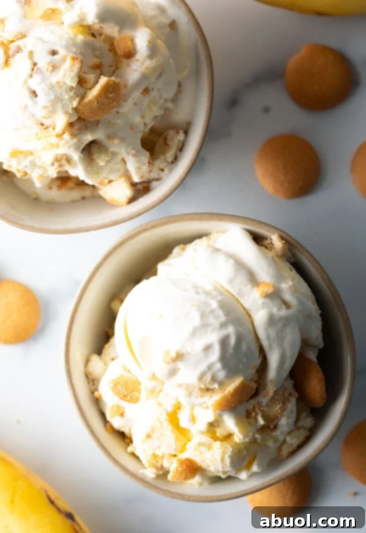 No-Churn Banana Pudding Dream 12 White bowl with banana pudding ice cream, topped with vanilla wafers.
