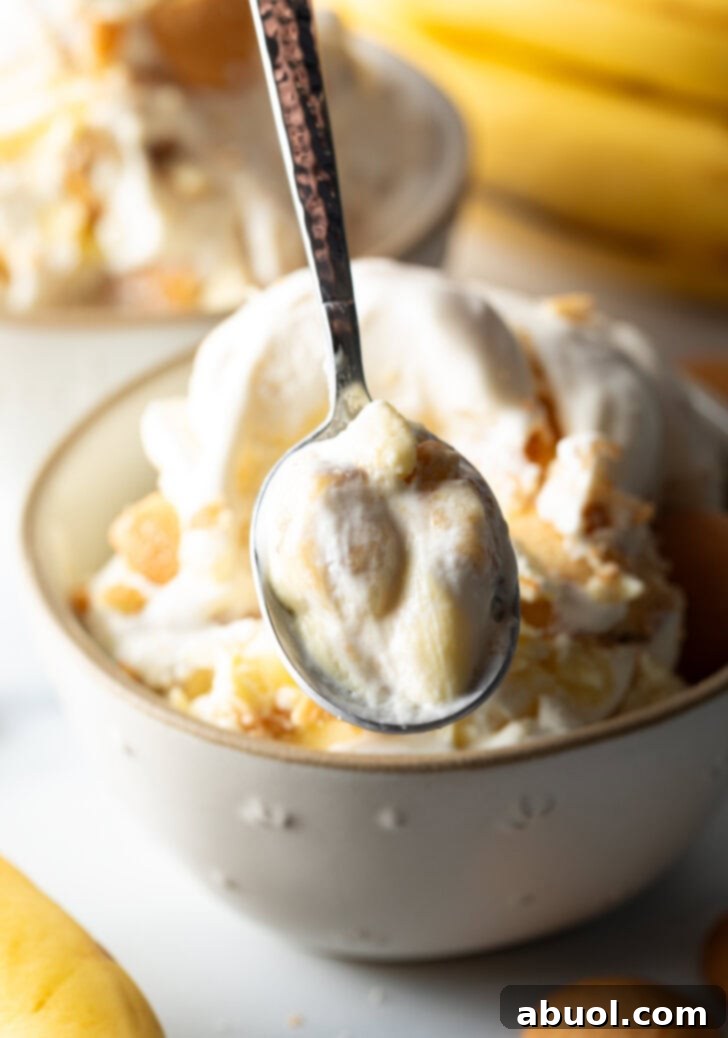 No-Churn Banana Pudding Dream 13 White bowl with banana pudding ice cream, topped with vanilla wafers. A spoon is showing a scoop of ice cream to camera.