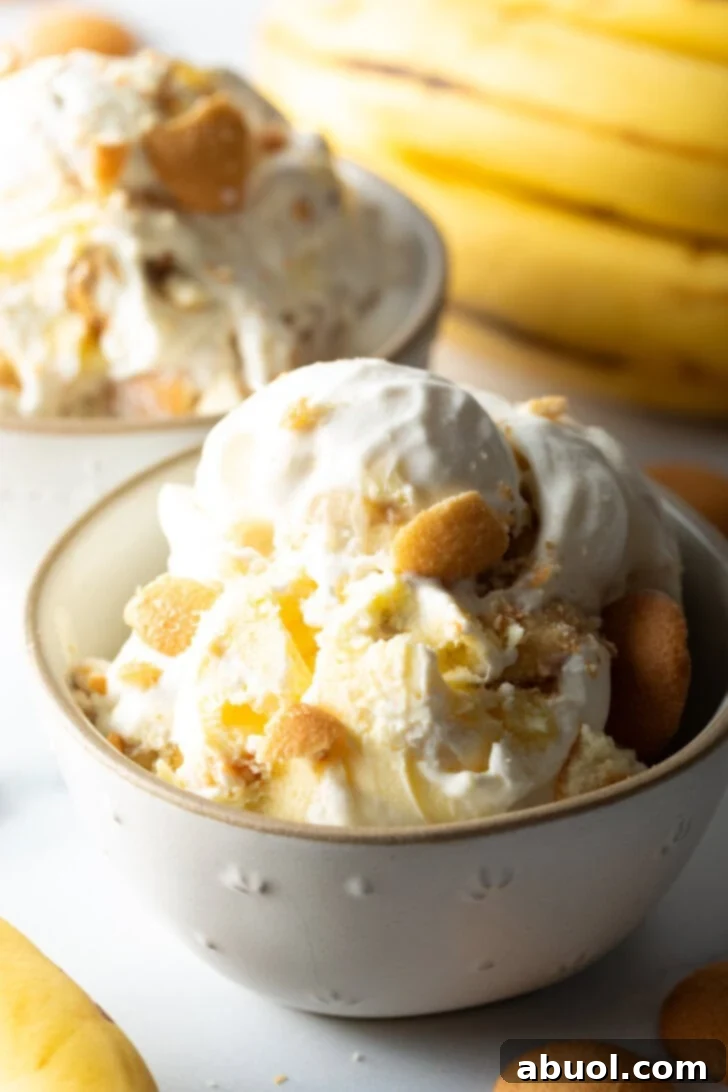No-Churn Banana Pudding Dream 3 White bowl with banana pudding ice cream, topped with vanilla wafers.