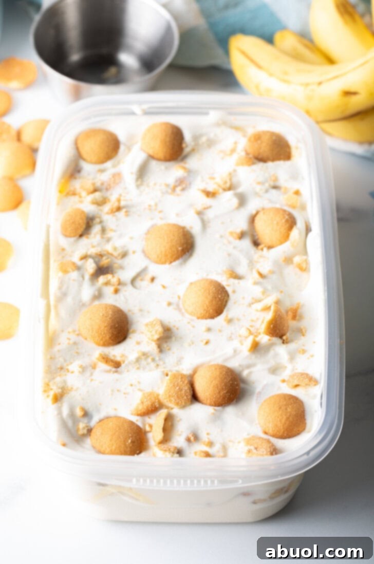 No-Churn Banana Pudding Dream 9 Container of no-churn banana pudding ice cream topped with nilla wafers.
