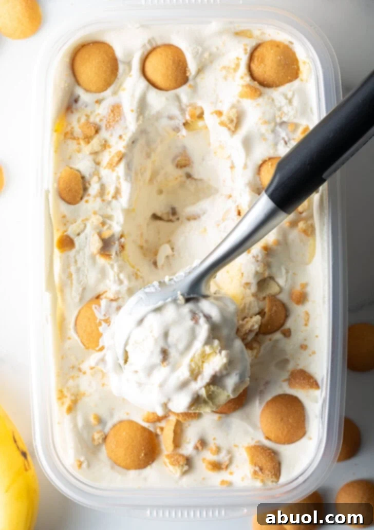 No-Churn Banana Pudding Dream 10 Container of no-churn banana pudding ice cream topped with nilla wafers, with a metal scooper scooping out a portion.
