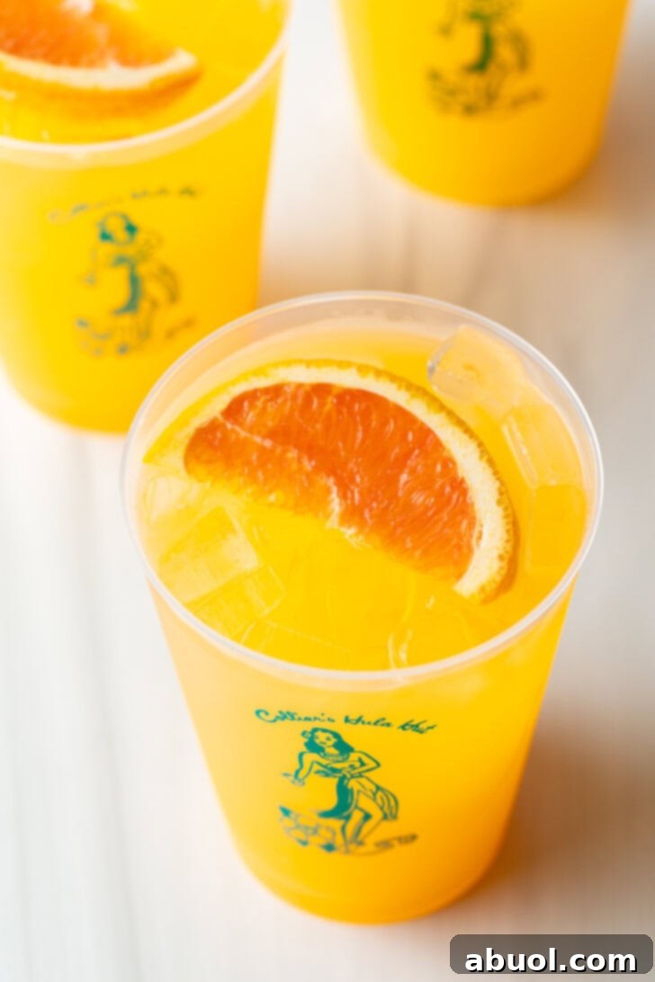 Top-down view of three Sunny D Vodka Seltzer drinks, garnished with orange slices, ready to be enjoyed.