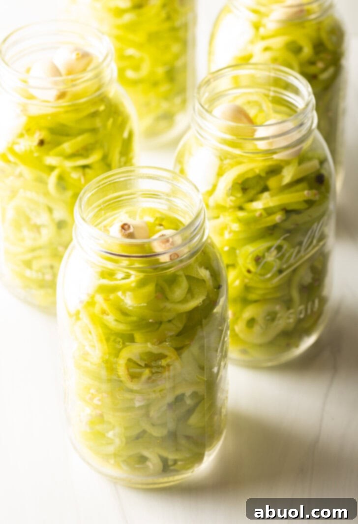 Full jars of pickled peppers. The lids are off to show the slices of peppers.