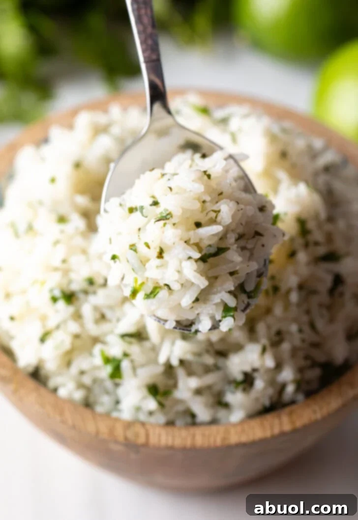 Metal spoon scooping rice to camera.