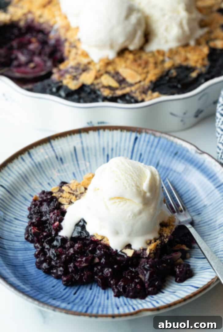 Serving of blueberry crumble on a plate, with scoop of ice cream on top.