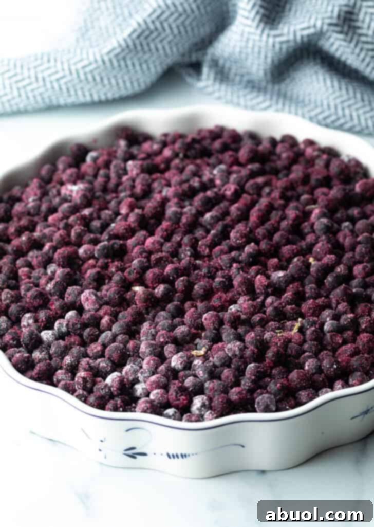 Baking dish filled with blueberries.
