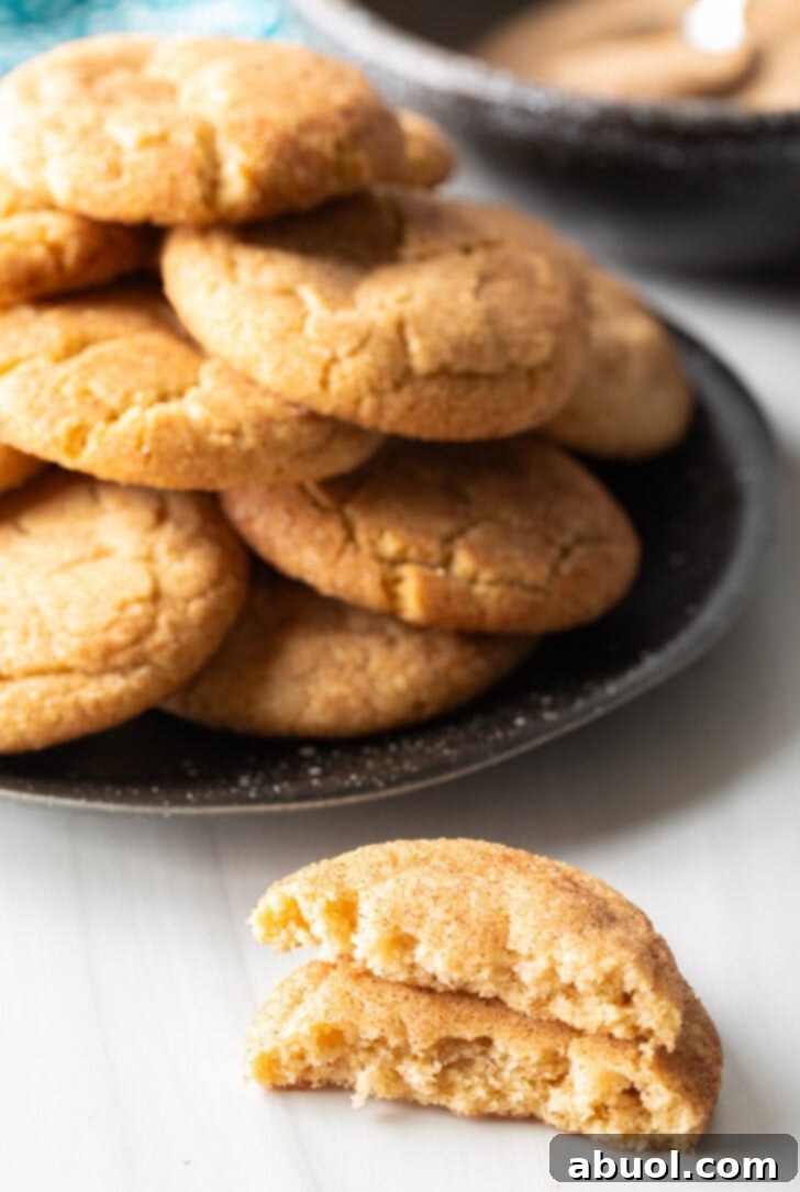 Plateful of Mexican cookies in the background. Two halves of broken cookie are stacked on top of each other closer to camera.
