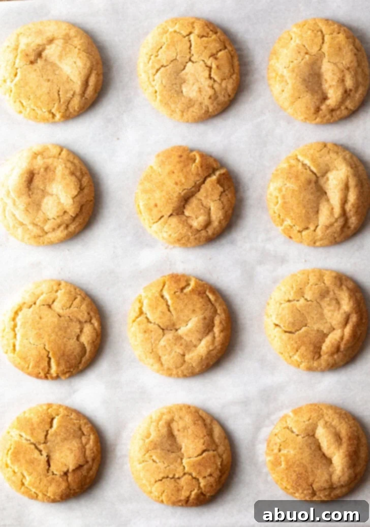 Top down view a dozen baked cinnamon cookies on parchment paper.