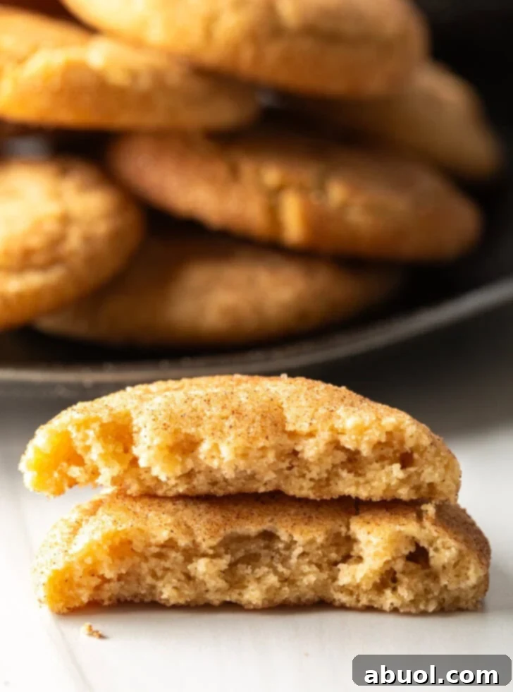 Plateful of Mexican cookies in the background. Two halves of broken cookie are stacked on top of each other closer to camera.