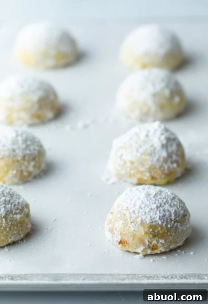 Sweet Italian Bridal Bites 10 Several wedding cookies on a baking sheet, freshly dusted with powdered sugar.