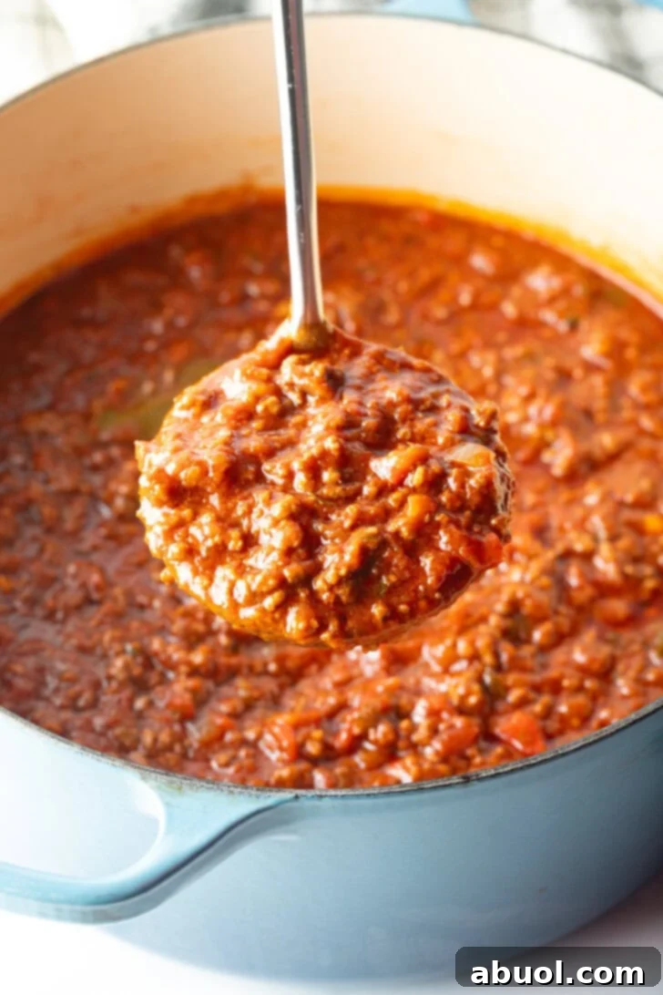 Meaty beef chili in a blue cooking pot. A ladle is showing a serving of chili without beans to camera.